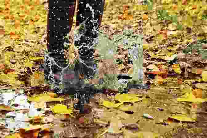 A Baby Gleefully Splashing In A Puddle, Surrounded By Vibrant Autumn Leaves. Babies In The Rain: Promoting Play Exploration And Discovery With Infants And Toddlers