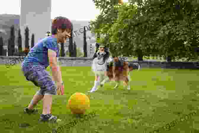 A Boy And His Dog Playing In The Park How To Photograph Children James Hockings