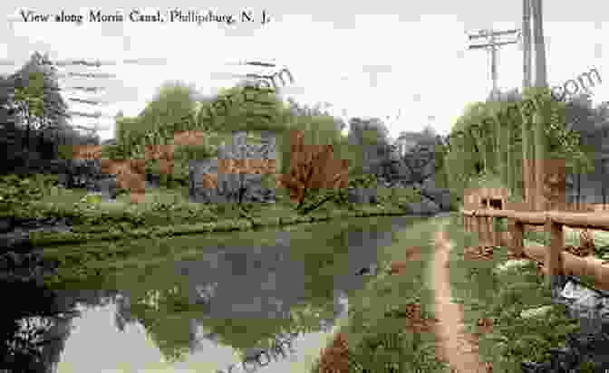 A Color Photograph Of A Lush Green Landscape Along The Morris Canal Along The Morris Canal (Images Of Modern America)