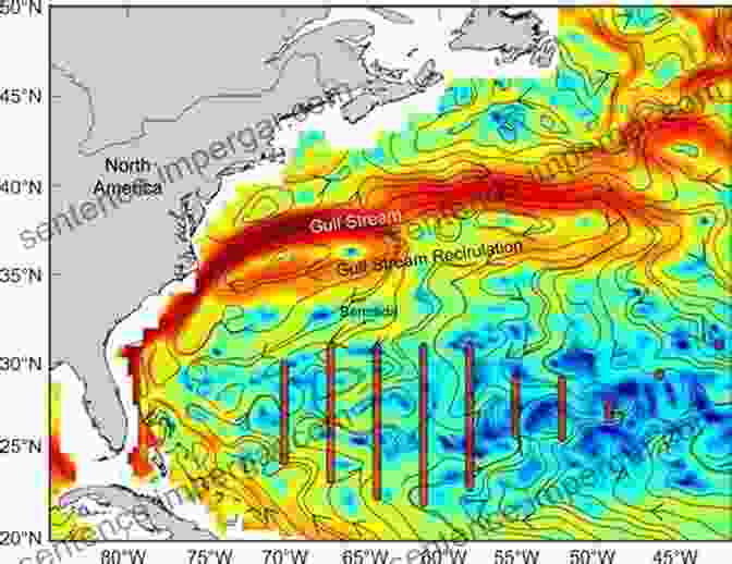 A Graphic Representation Of The Sargasso Sea's Complex Ocean Currents, Showcasing Their Circular Motion And Unpredictability. Eels: An Exploration From New Zealand To The Sargasso Of The World S Most Mysterious Fish