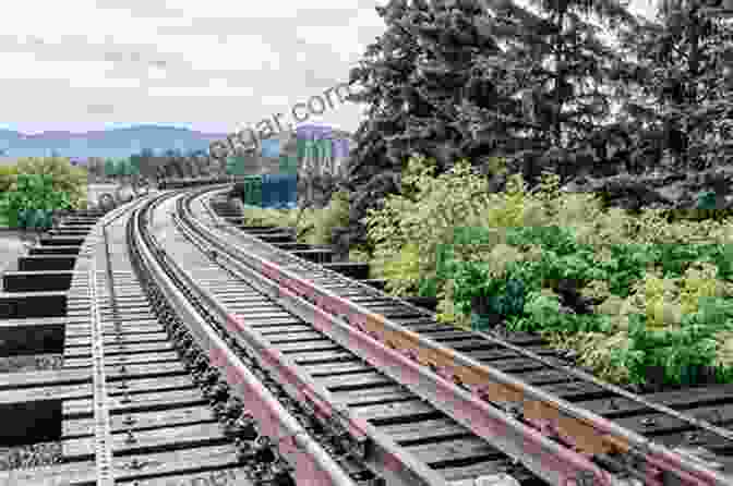 A Narrow Gauge Railway Winding Its Way Through A Lush Rainforest Narrow Gauge In The Tropics: The Railways Of The Dutch East Indies 1864 1942 (Railroads Past And Present)