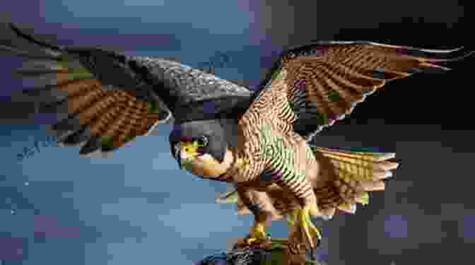 A Peregrine Falcon Diving At Incredible Speeds Towards Its Prey Eagles Ravens And Other Birds Of Prey: A History Of USAF Suppression Of Enemy Air Defense (SEAD) Doctrine 1973 1991