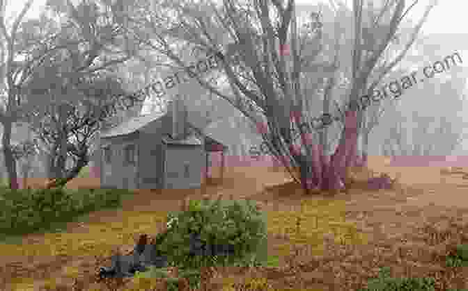 A Solitary Wooden Hut Shrouded In Mist, Nestled At The Edge Of An Ancient Forest A Hut At The Edge Of The Village