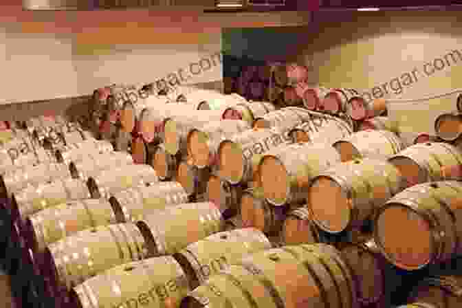 A Winemaker Inspecting A Barrel Of Aging Wine Halliday Wine Companion 2024: The And Definitive Guide To Australian Wine