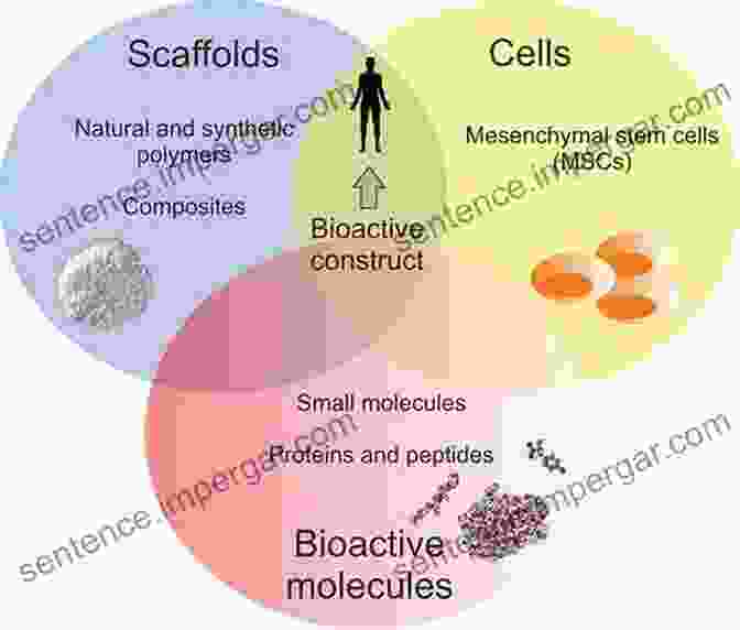 Bioactive Surfaces Interacting With Biological Cells Bioactive Surfaces (Advances In Polymer Science 240)