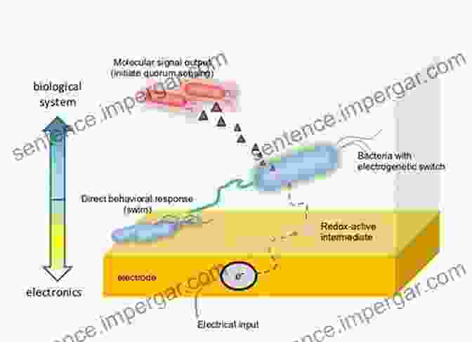 Bioelectronics Integration: Bridging The Gap Between Electronics And Biology Nano Bio Electronic Photonic And MEMS Packaging