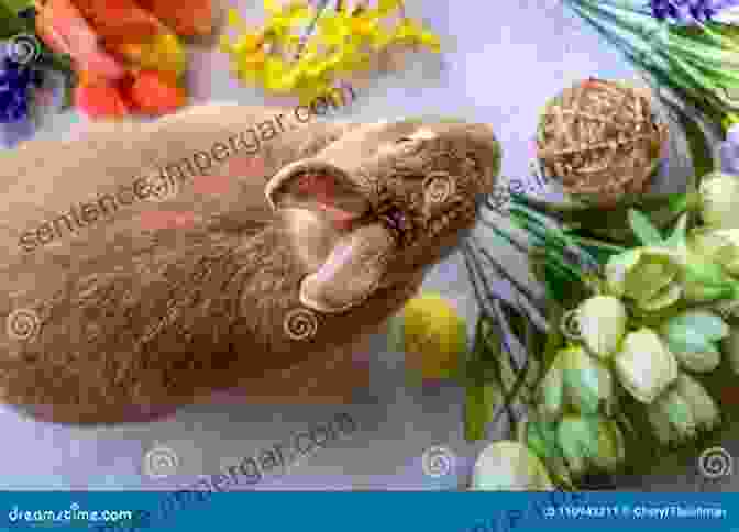 Brecker Bunny With A Thoughtful Expression, Surrounded By Colorful Flowers Brecker Bunny Asks For Help