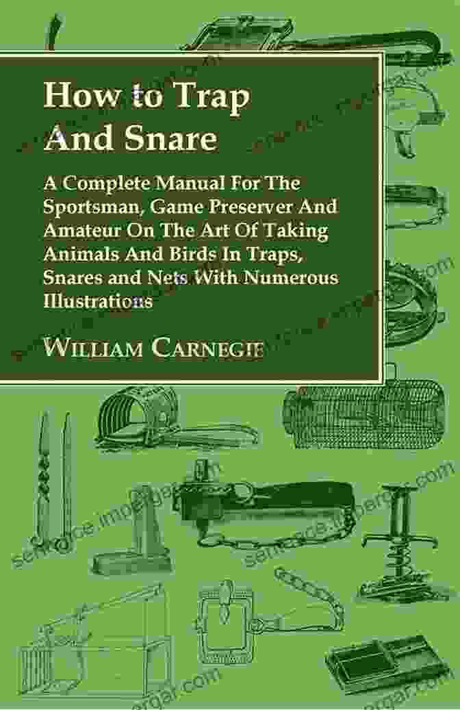 Cover Of 'How To Trap And Snare Complete Manual For The Sportsman Game Preserver And' How To Trap And Snare A Complete Manual For The Sportsman Game Preserver And Amateur On The Art Of Taking Animals And Birds In Traps Snares And Nets With Numerous Illustrations