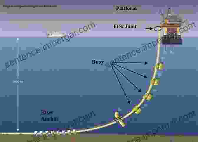 Diagram Of Deepwater Flexible Risers Design Deepwater Flexible Risers And Pipelines