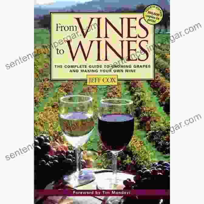 From Vines To Wines Book Cover From Vines To Wines 5th Edition: The Complete Guide To Growing Grapes And Making Your Own Wine