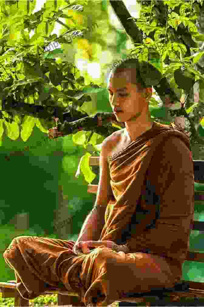 Image Of A Serene Zen Garden With A Solitary Monk Meditating Zen Brain Horizons: Toward A Living Zen