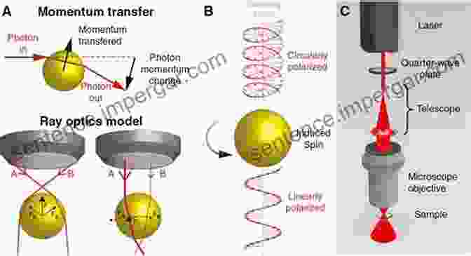 Optical Trapping Manipulation Digital Holographic Methods: Low Coherent Microscopy And Optical Trapping In Nano Optics And Biomedical Metrology (Springer In Optical Sciences 221)