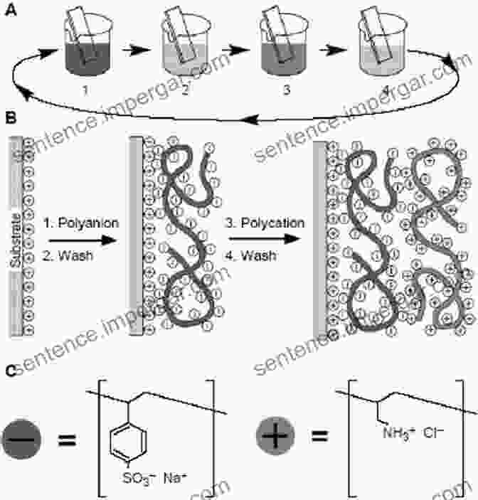 Schematic Representation Of A Polyelectrolyte Structure, Highlighting The Repeating Units And Ionizable Groups Physical Chemistry Of Polyelectrolytes (Surfactant Science 99)