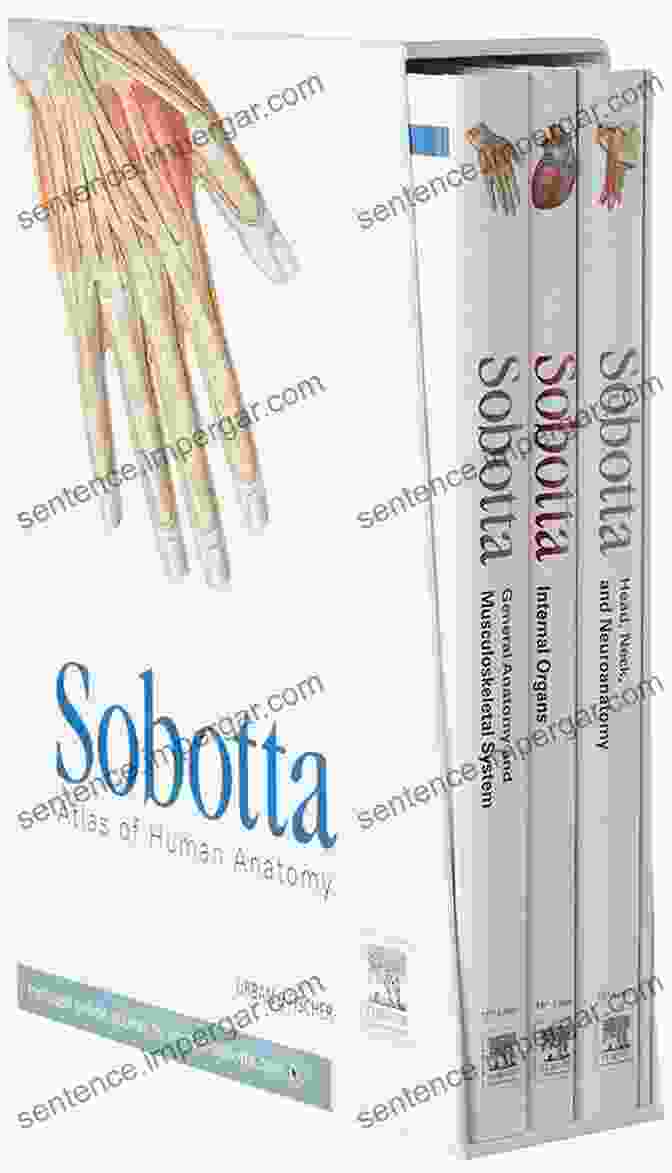 Sobotta Atlas Of Anatomy Classic Book Cover Sobotta Atlas Of Anatomy Classic