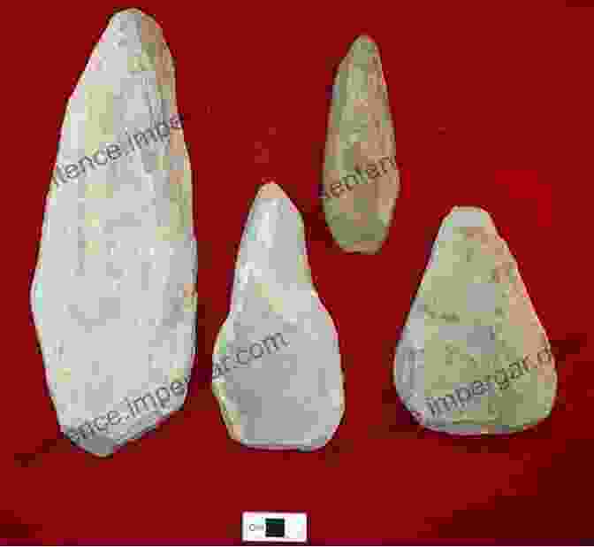 Stone Tools Discovered In An Archaeological Site Stones Bones And Totems