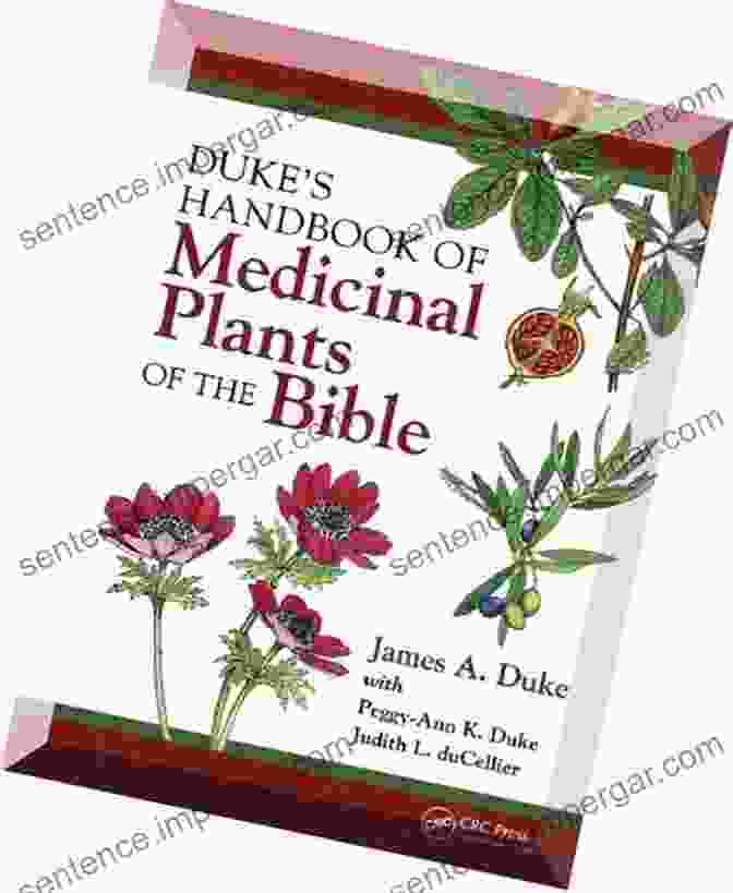 The Duke Handbook Of Medicinal Plants Of The Bible, Featuring A Collection Of Botanical Illustrations. Duke S Handbook Of Medicinal Plants Of The Bible