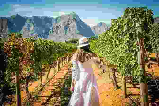 Travel Guide To The Cape Winelands, South Africa Tasting The Cape Guide To The Cape Winelands