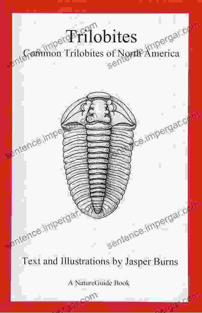 Trilobite Anatomy Trilobites: Common Trilobites Of North America