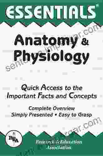 Anatomy And Physiology Essentials (Essentials Study Guides)