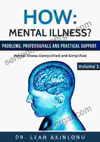 How: Mental Illness?: Problems Professionals And Practical Support (Mental Illness Demystified And Simplified 2)