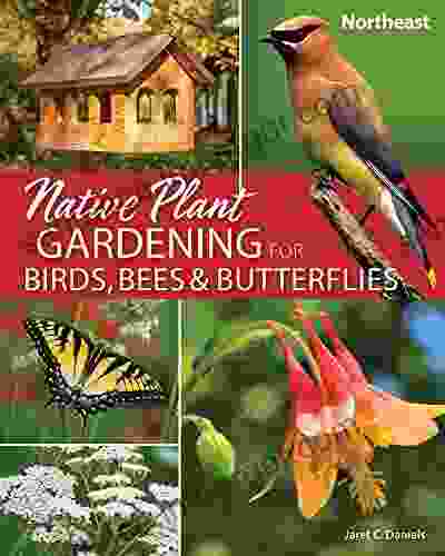 Native Plant Gardening For Birds Bees Butterflies: Northeast (Nature Friendly Gardens)