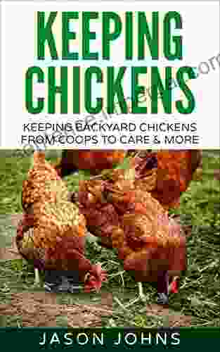 Keeping Chickens For Beginners: Keeping Backyard Chickens From Coops To Feeding To Care And More (Inspiring Gardening Ideas 28)