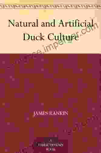 Natural And Artificial Duck Culture