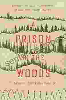 A Prison In The Woods: Environment And Incarceration In New York S North Country (Environmental History Of The Northeast)