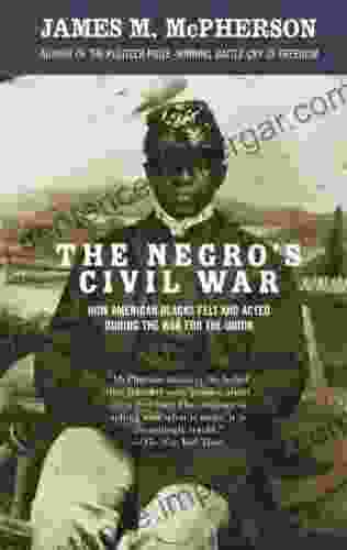 The Negro S Civil War: How American Blacks Felt And Acted During The War For The Union (Vintage Civil War Library)