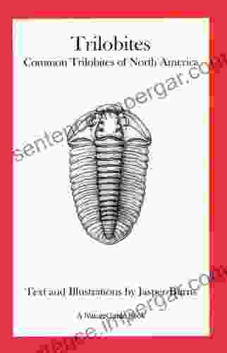 Trilobites: Common Trilobites Of North America