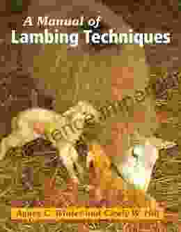 Manual Of Lambing Techniques