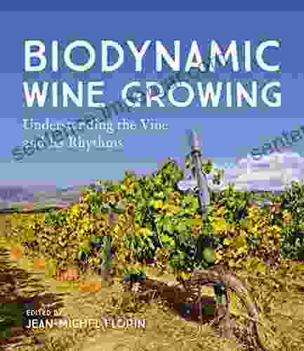 Biodynamic Wine Growing: Understanding The Vine And Its Rhythms