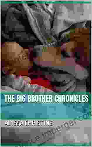 The Big Brother Chronicles