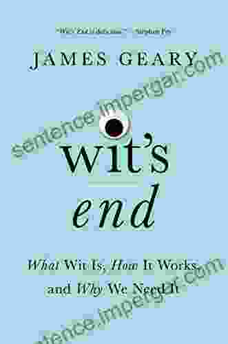 Wit S End: What Wit Is How It Works And Why We Need It