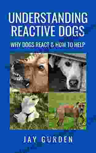 Understanding Reactive Dogs: Why Dogs React And How To Help